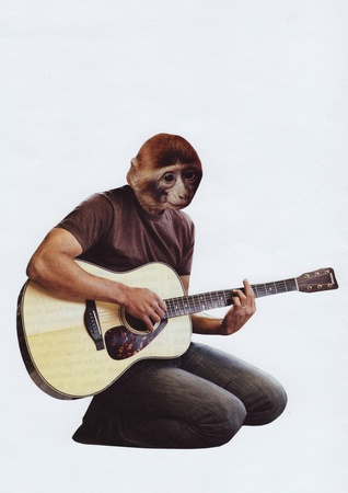 Affe 02