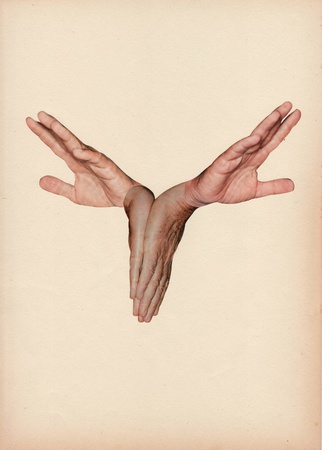 Hand25