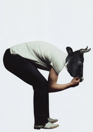 Stier