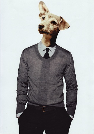 Hund 01