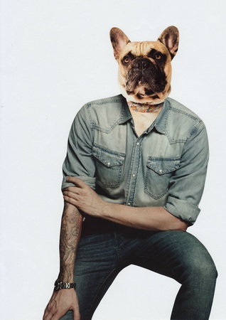 Hund 03