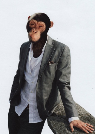 Affe 01