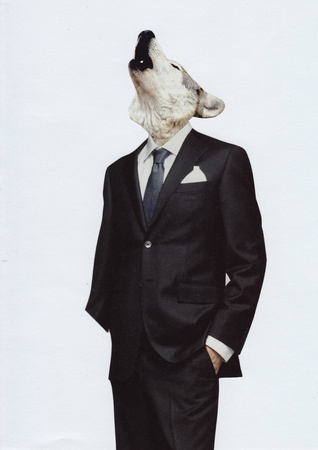 Wolf 01